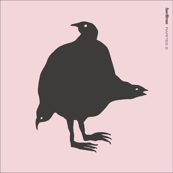 |  Vinyl LP | Ane Brun - Rarities 2 (LP) | Records on Vinyl