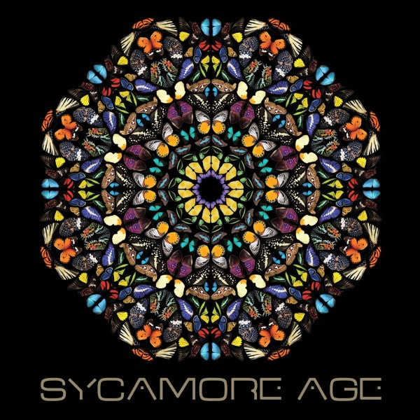 |  Vinyl LP | Sycamore Age - Sycamore Age (LP) | Records on Vinyl