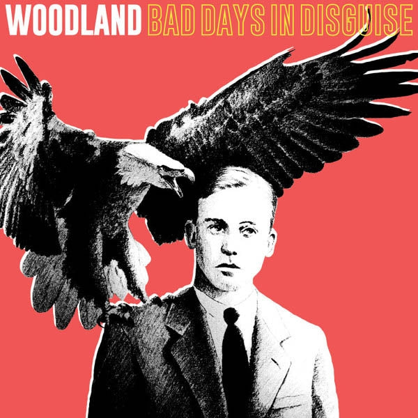 Woodland - Bad Days In..  |  Vinyl LP | Woodland - Bad Days In Disguise (2 LPs) | Records on Vinyl