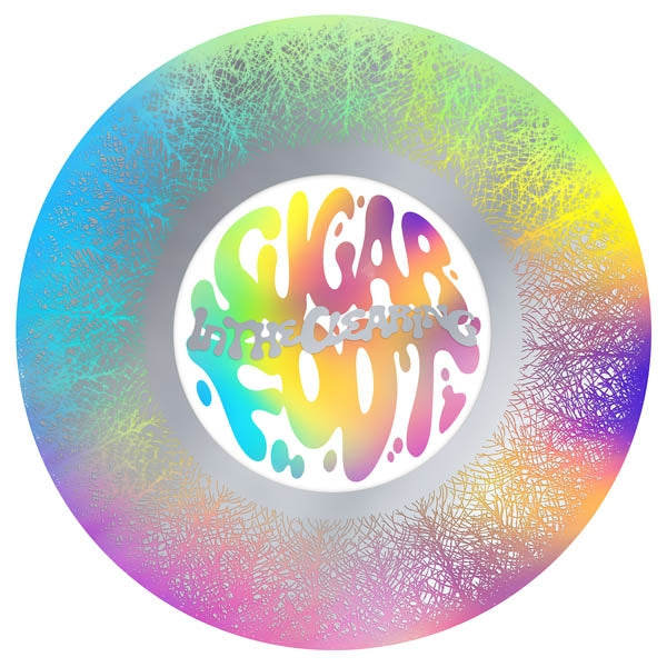 Sugarfoot - In The Clearing  |  Vinyl LP | Sugarfoot - In the Clearing (2 LPs) | Records on Vinyl