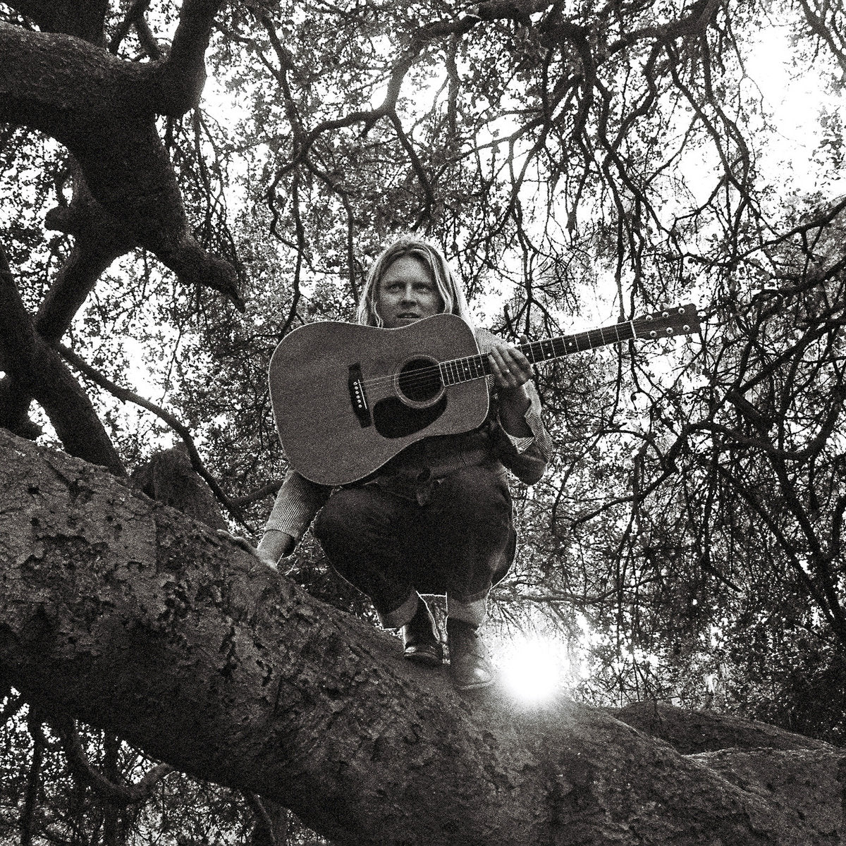|  Vinyl LP | Ty Segall - "Hello, Hi" (LP) | Records on Vinyl