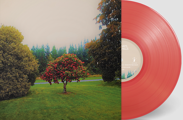 Bats - Foothills |  Vinyl LP | Bats - Foothills (LP) | Records on Vinyl