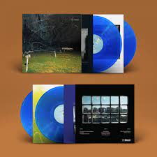 |  Vinyl LP | Yo La Tengo - This Stupid World (2 LPs) | Records on Vinyl