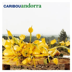 |  Vinyl LP | Caribou - Andorra (LP) | Records on Vinyl