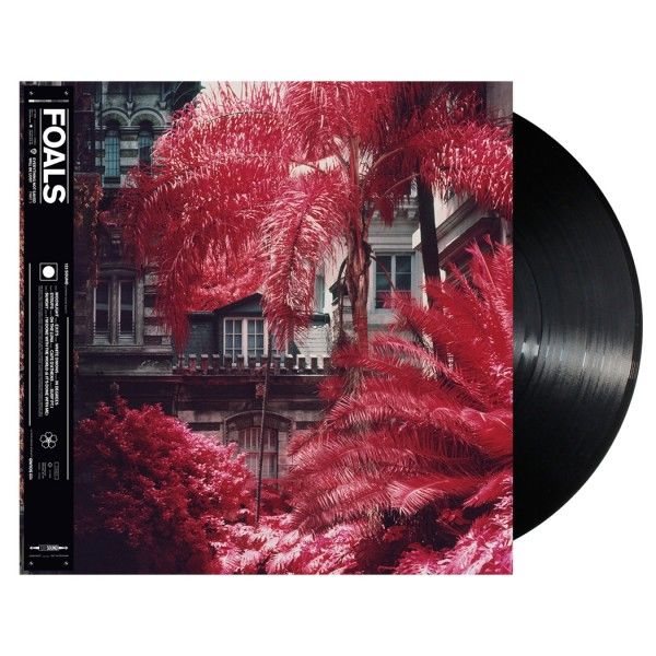 Foals - Everything Not Saved.. |  Vinyl LP | Foals - Everything Not Saved...Part I (2 LPs) | Records on Vinyl
