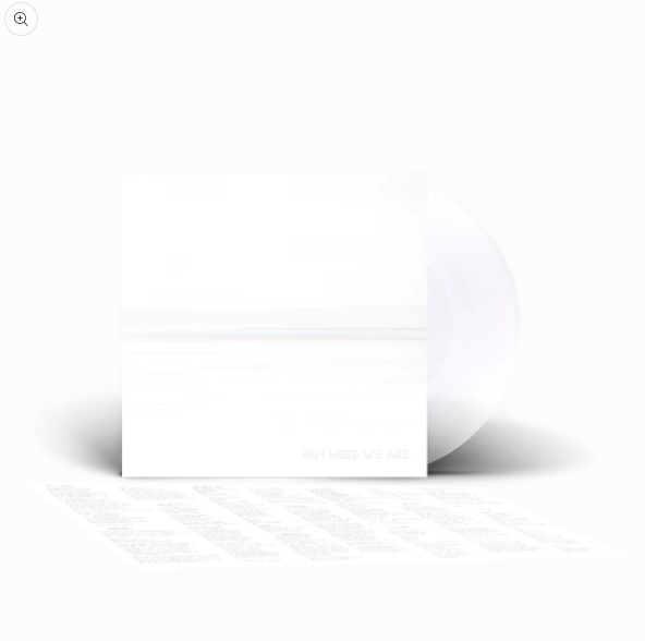 |  Vinyl LP | Foo Fighters - But Here We Are (LP) | Records on Vinyl