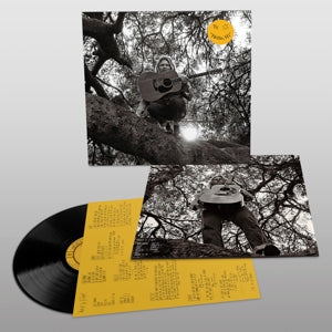 |  Vinyl LP | Ty Segall - "Hello, Hi" (LP) | Records on Vinyl