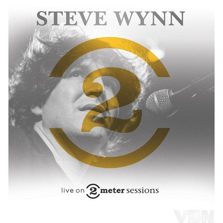 Steve Wynn in intieme sfeer: 2 Meter Sessies op vinyl