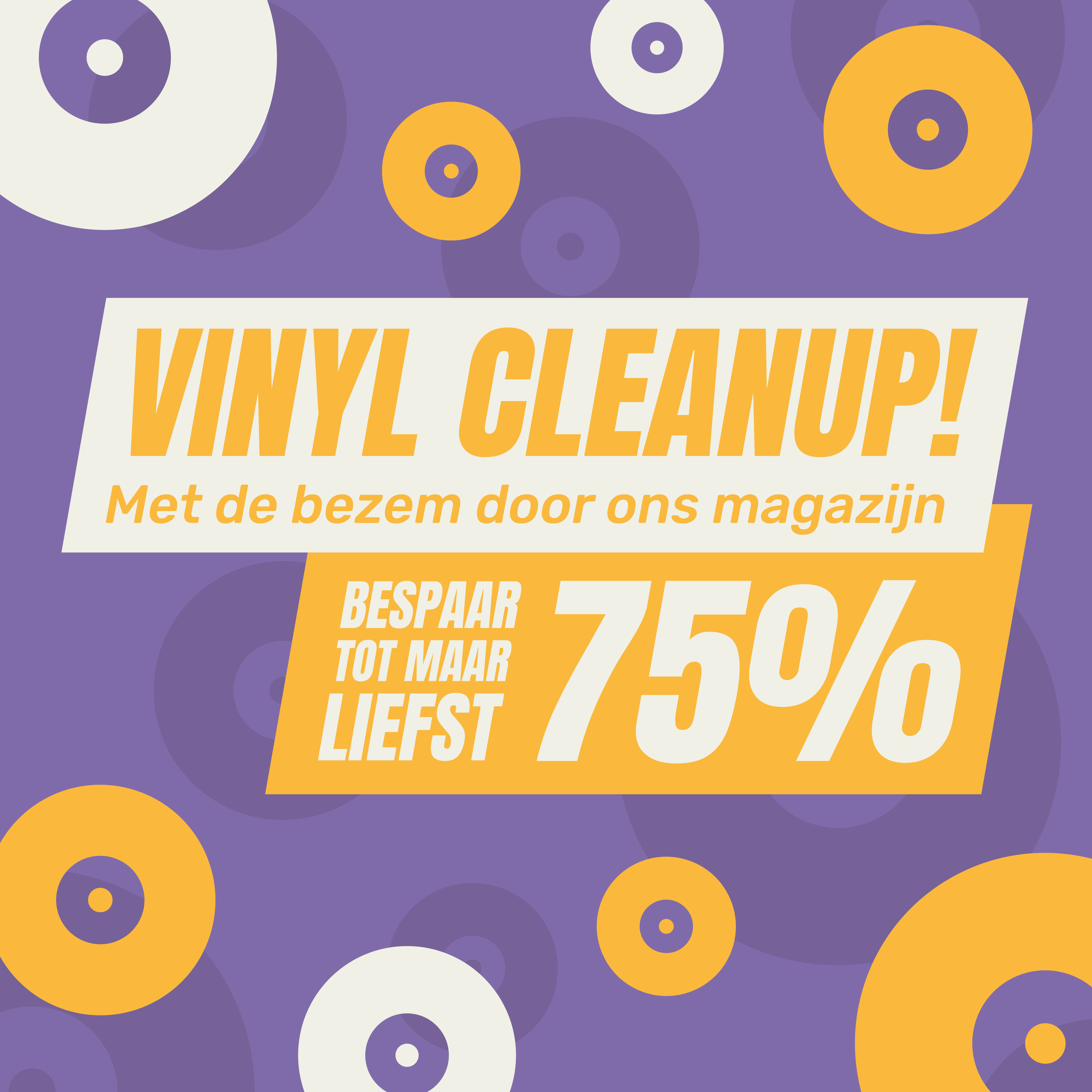 VINYL CLEANUP 2024