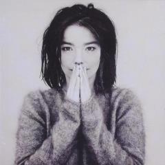 Bjork