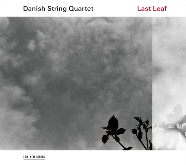  |   | Danish String Quartet - Last Leaf (LP) | Records on Vinyl