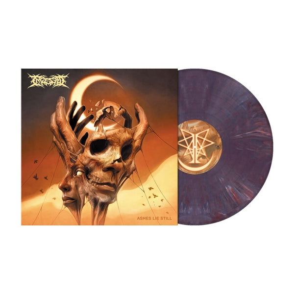 Ingested - Ashes Lie Still (LP) Cover Arts and Media | Records on Vinyl