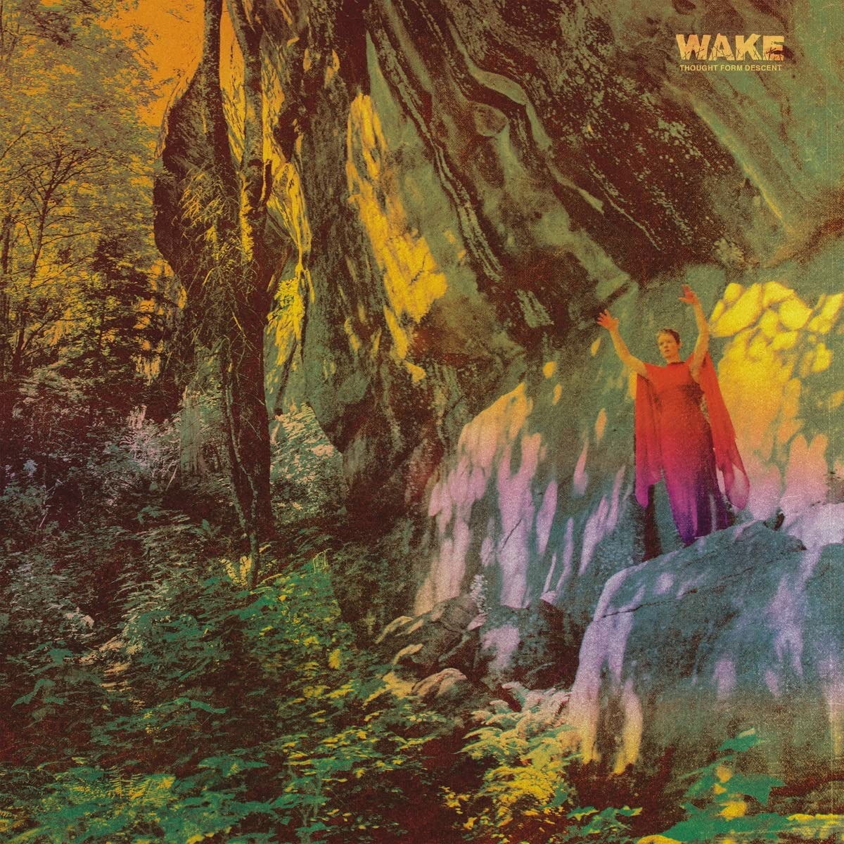 Wake - Thought Form Descent (LP) Cover Arts and Media | Records on Vinyl