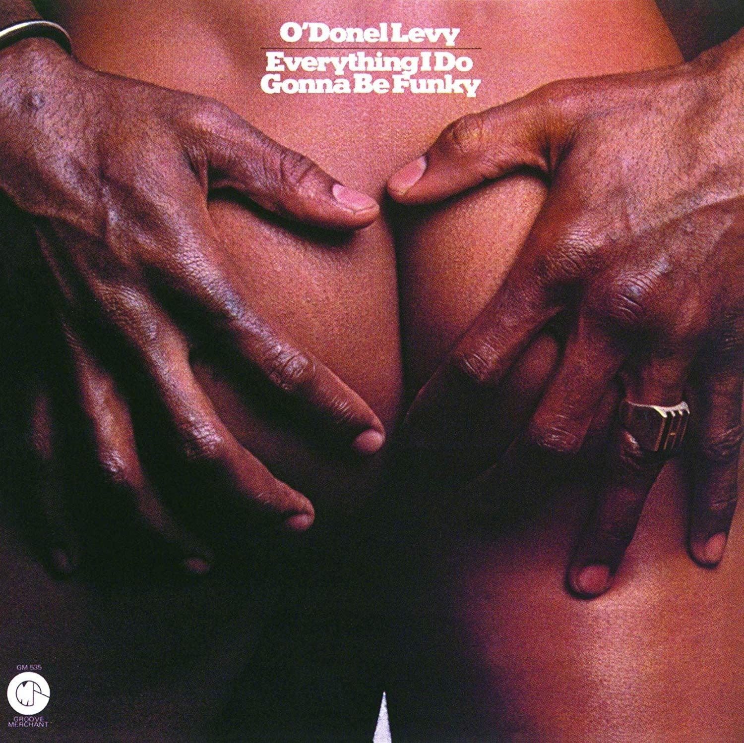 O'Donel Levy - Everything I Do Gonna Be Funky (LP) Cover Arts and Media | Records on Vinyl