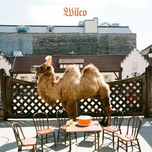  |   | Wilco - Wilco (the Album) (2 LPs) | Records on Vinyl