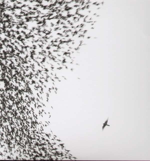  |   | Wilco - Sky Blue Sky (2 LPs) | Records on Vinyl