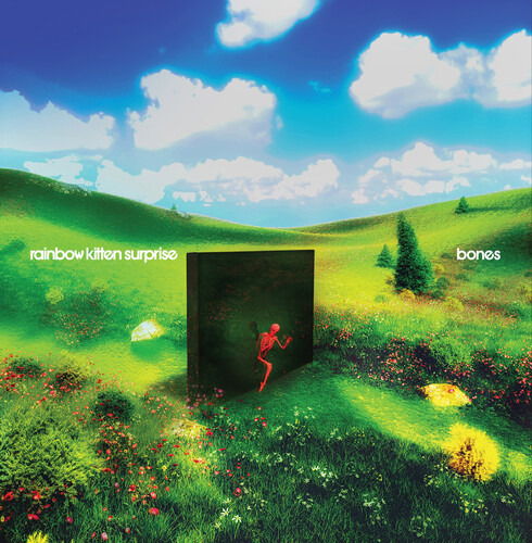 Rainbow Kitten Surprise - Bones (LP) Cover Arts and Media | Records on Vinyl