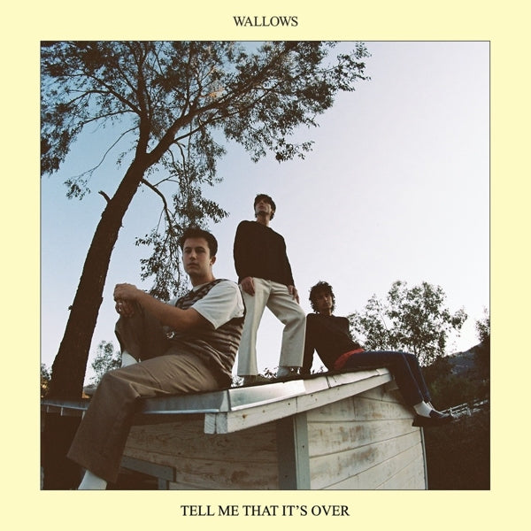  |   | Wallows - Tell Me That It's Over (LP) | Records on Vinyl