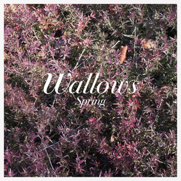  |   | Wallows - Spring (LP) | Records on Vinyl