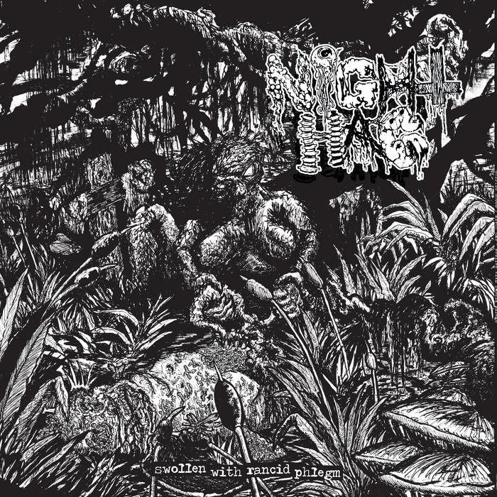  |   | Cryptic Brood/Night Hag - Swollen With Rancid Phlegm (LP) | Records on Vinyl