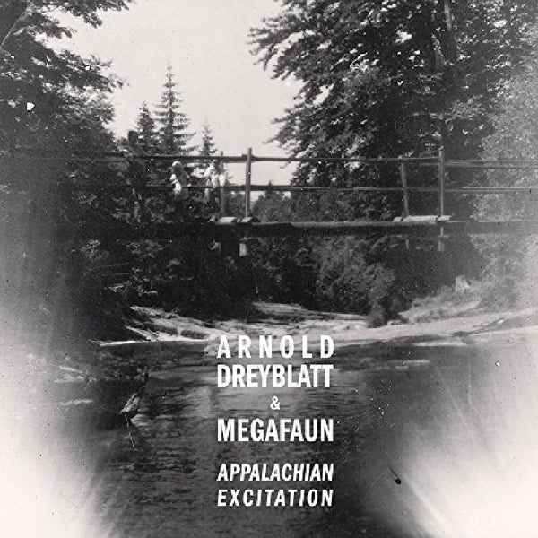  |   | Arnold & Megafun Dreyblatt - Appalachian Excitation (LP) | Records on Vinyl