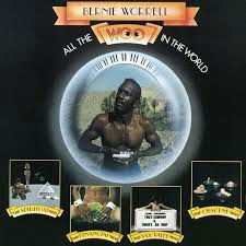 Bernie Worrell - All the Woo In the World (LP) Cover Arts and Media | Records on Vinyl