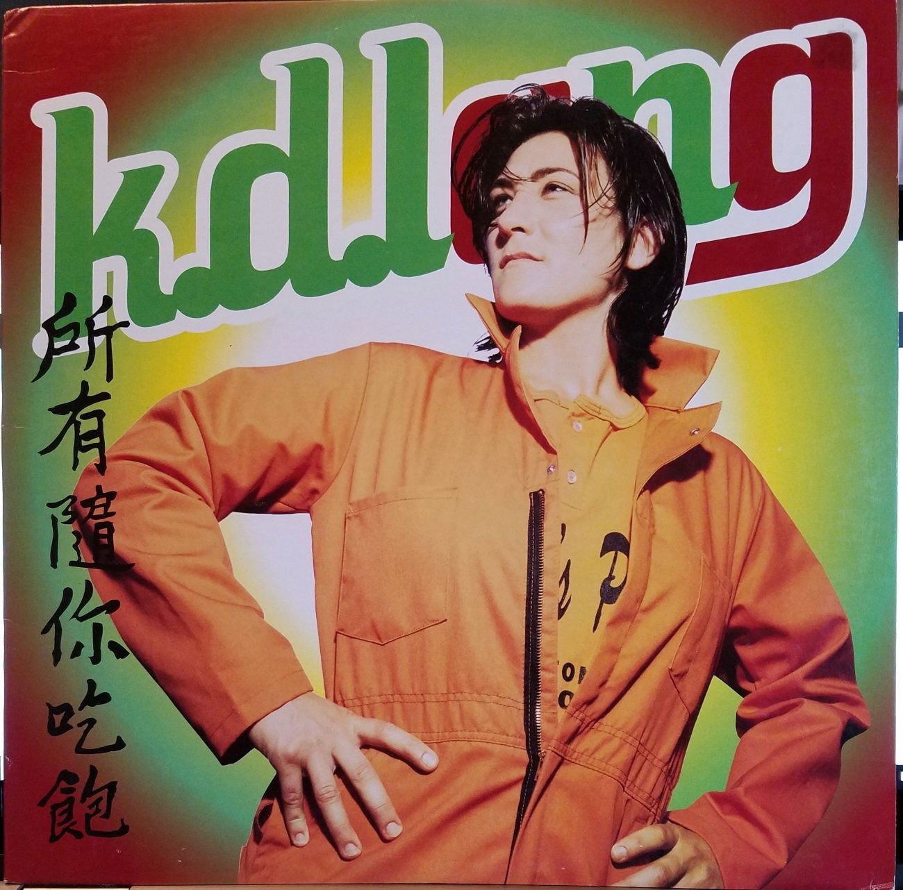 K.D. Lang - All You Can Eat (LP) Cover Arts and Media | Records on Vinyl