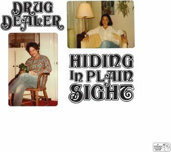 Drugdealer - Hiding In Plain Sight (LP) Cover Arts and Media | Records on Vinyl