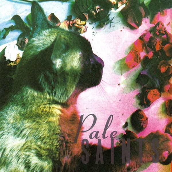  |   | Pale Saints - Comforts of Madness (LP) | Records on Vinyl