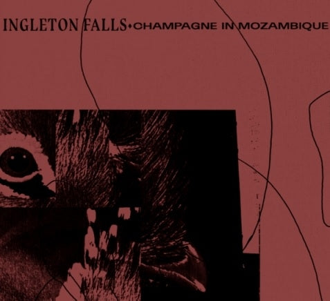  |   | Ingleton Falls - Champagne In Mozambique (LP) | Records on Vinyl