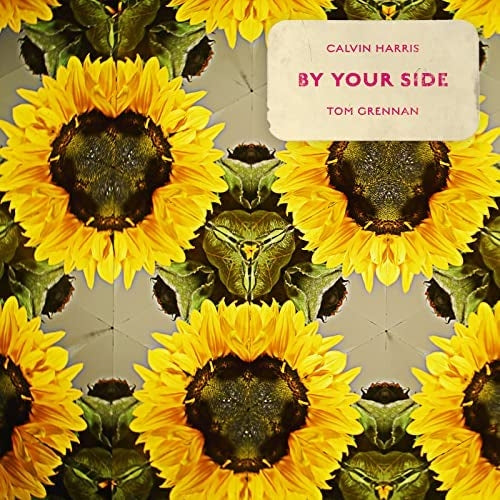 Calvin Harris Feat. Tom Grenna - By Your Side (LP) Cover Arts and Media | Records on Vinyl