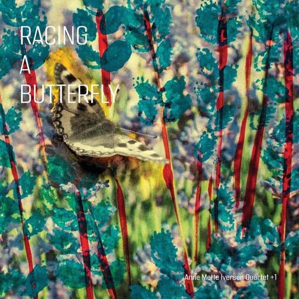  |   | Anne Mette -Quartet+1- Iversen - Racing a Butterfly (LP) | Records on Vinyl