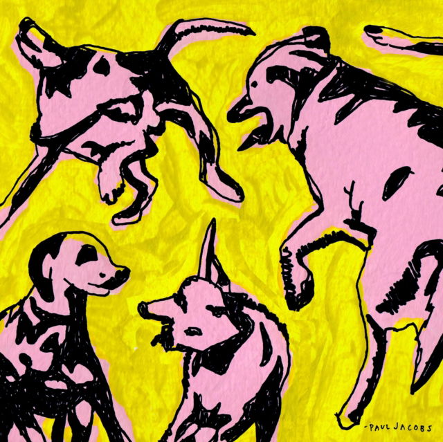Paul Jacobs - Pink Dogs On the Green Grass (LP) Cover Arts and Media | Records on Vinyl