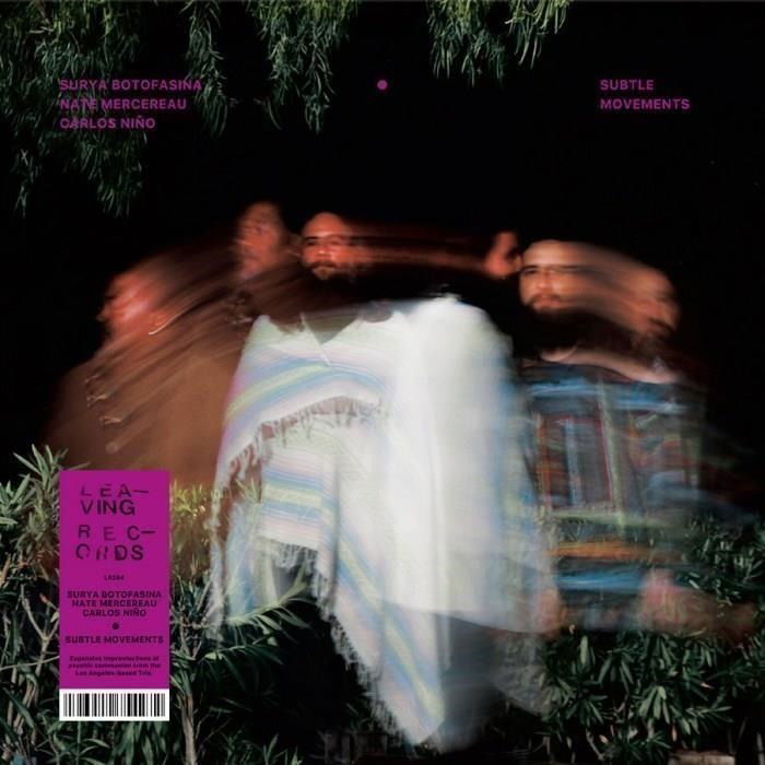  |   | Surya & Nate Mercereau & Carlos Nino Botofasina - Subtle Movements (2 LPs) | Records on Vinyl