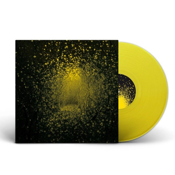  |   | Antlers - Burst Apart (LP) | Records on Vinyl