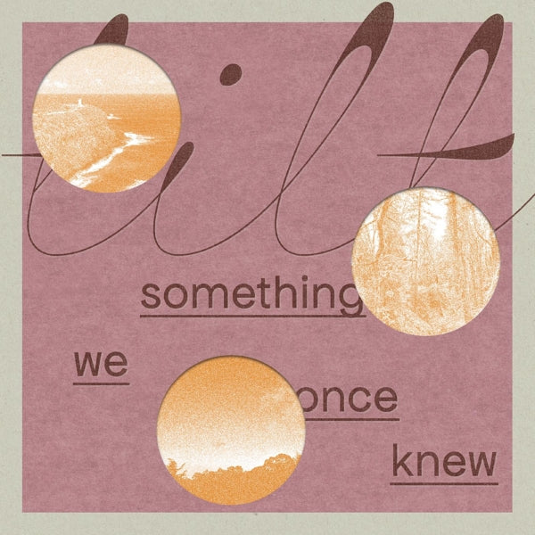  |   | Tilt - Something We Once Knew (LP) | Records on Vinyl