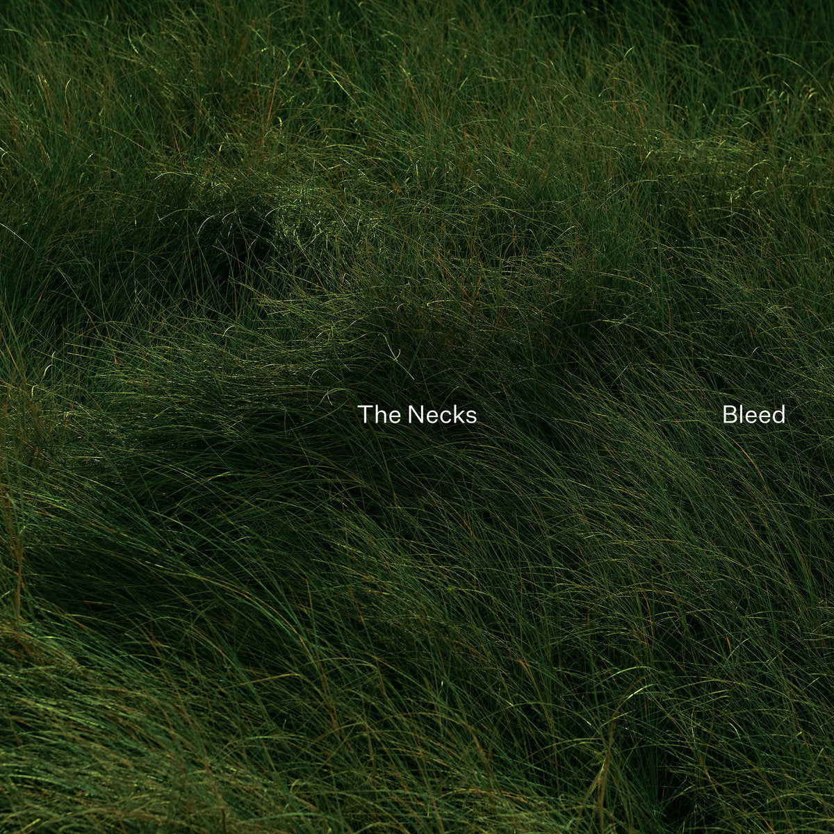 Necks - Bleed (LP) Cover Arts and Media | Records on Vinyl