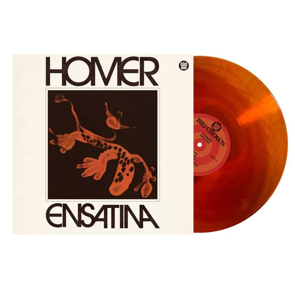 Homer - Ensatina (LP) Cover Arts and Media | Records on Vinyl