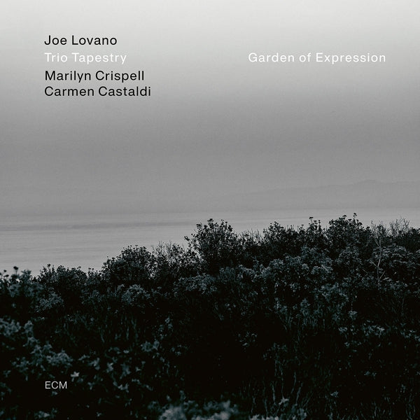  |   | Joe -Trio Tapestry- Lovano - Garden of Expression (LP) | Records on Vinyl