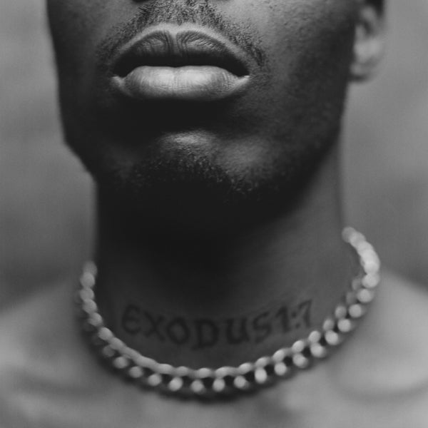  |   | Dmx - Exodus (LP) | Records on Vinyl