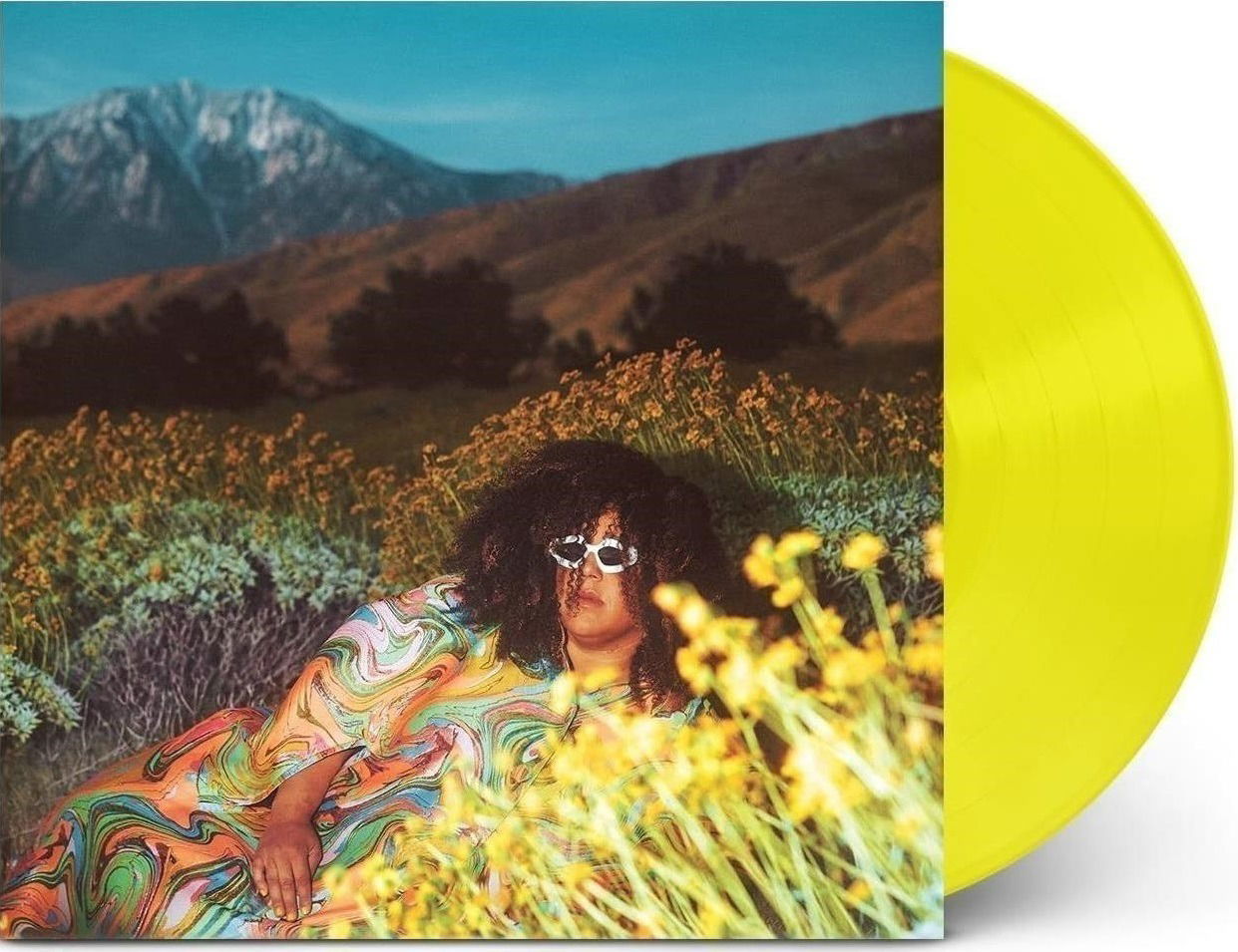  |   | Brittany Howard - What Now (LP) | Records on Vinyl