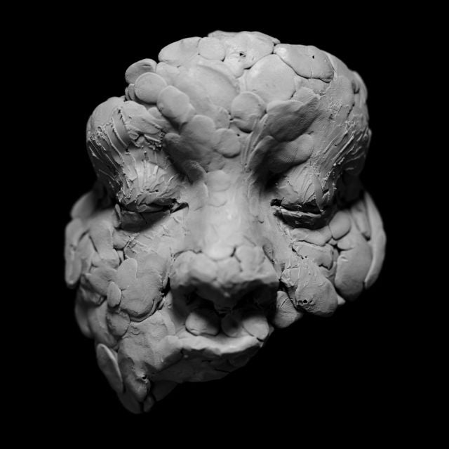 Joy Oladokun - Observations From a Crowded Room (LP) Cover Arts and Media | Records on Vinyl