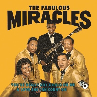  |   | the Miracles - You've Really Got a Hold On Me (LP) | Records on Vinyl