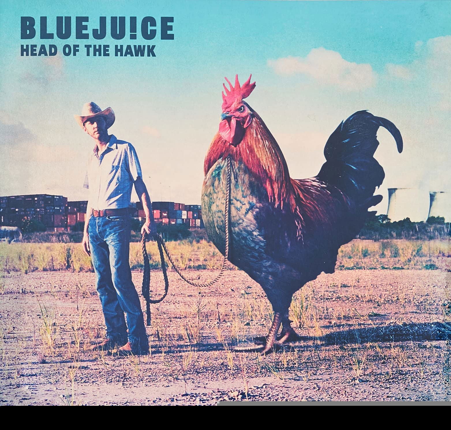 Bluejuice - Head of the Hawk (LP) Cover Arts and Media | Records on Vinyl