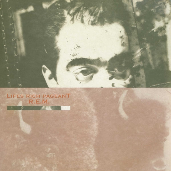  |   | R.E.M. - Life's Rich Pageant (LP) | Records on Vinyl