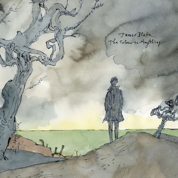  |   | James Blake - Colour In Anything (2 LPs) | Records on Vinyl