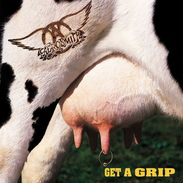  |   | Aerosmith - Get a Grip (2 LPs) | Records on Vinyl