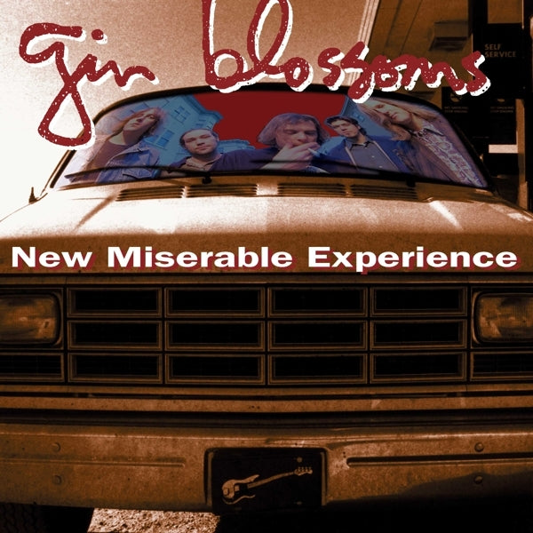  |   | Gin Blossoms - New Miserable Experience (LP) | Records on Vinyl