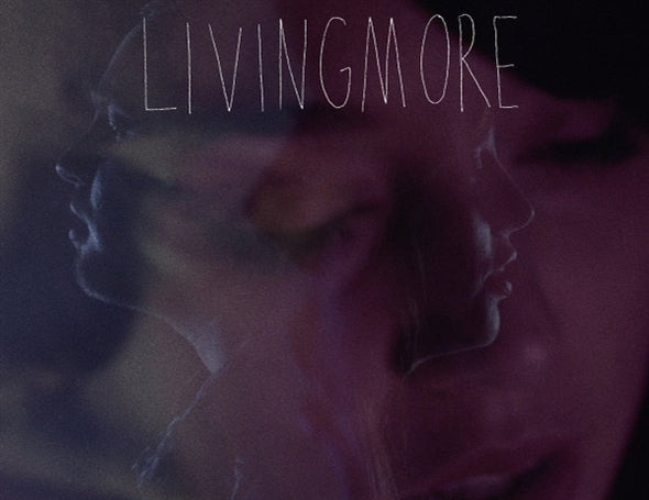  |   | Livingmore - Ok To Land (LP) | Records on Vinyl