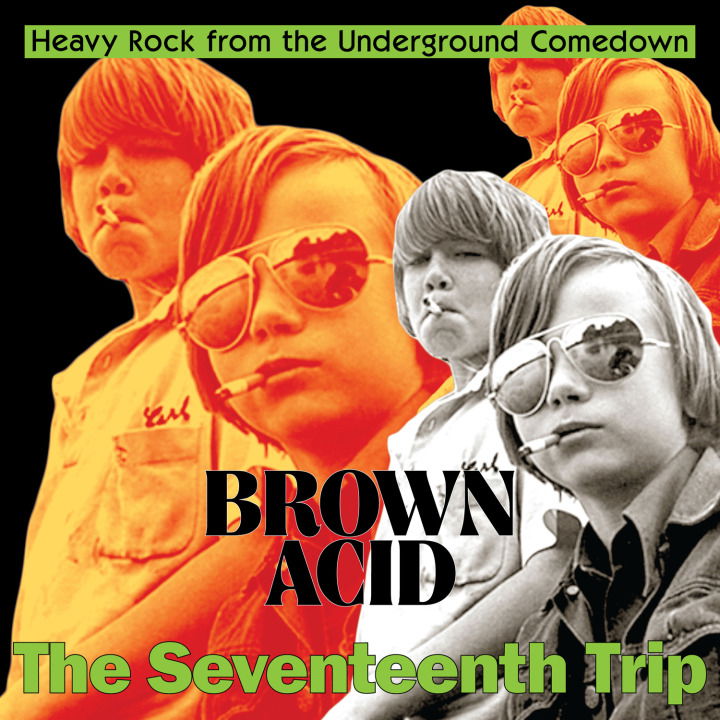 V/A - Brown Acid: the 17th Trip (LP) Cover Arts and Media | Records on Vinyl